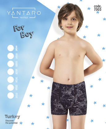 Боксеры для мальчика (арт. 7003) YANTARO - фото 1