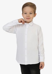 Рубашка для мальчика, (арт. 2192)