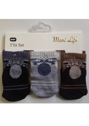 Носки для новорожденных (арт. 2833) Moni Life - фото 1