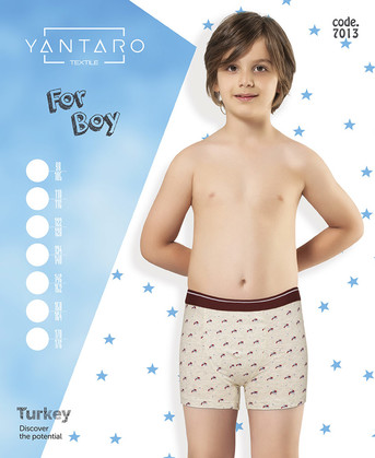 Боксеры для мальчика (арт. 7013) YANTARO - фото 1